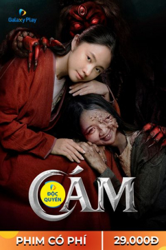 Cám